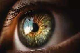 小器官大视野—视网膜是观察全身疾病的窗口
