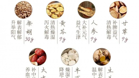 小柴胡汤