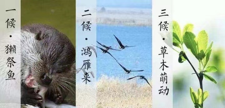 图片 4