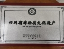 四川省非物质文化遗产_峨眉伤科疗法